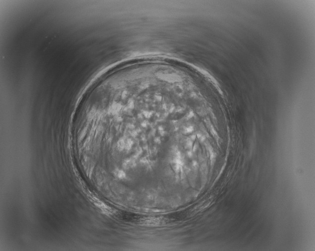 X0000081591279200702121504