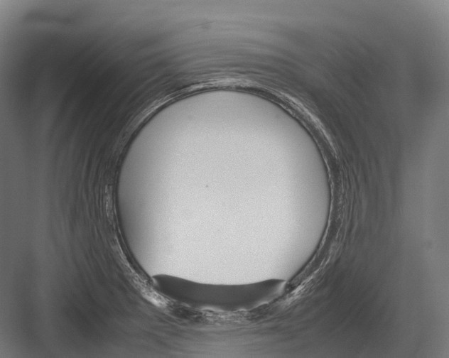 X0000081591281200702121504