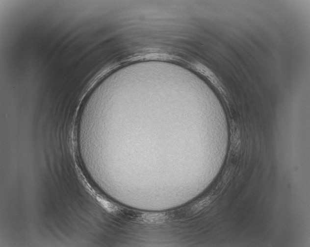 X0000081591282200702121504