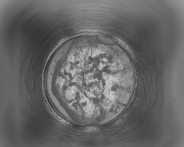 X0000081591283200702121504