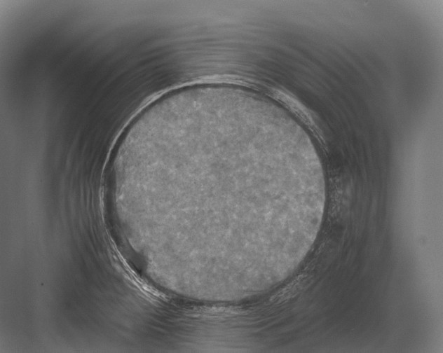 X0000081591284200702121504