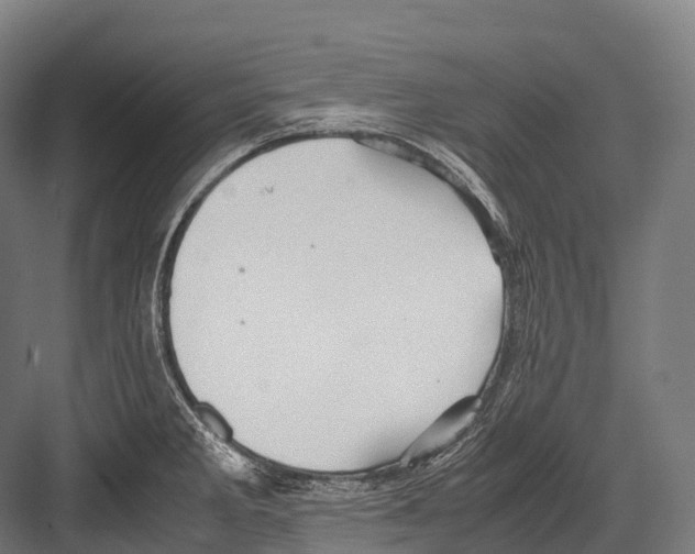 X0000081591285200702121504