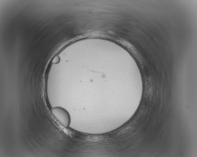 X0000081591286200702121504