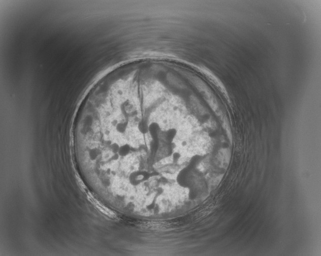 X0000081591287200702121504