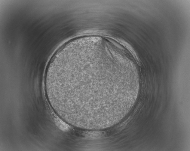 X0000081591288200702121504