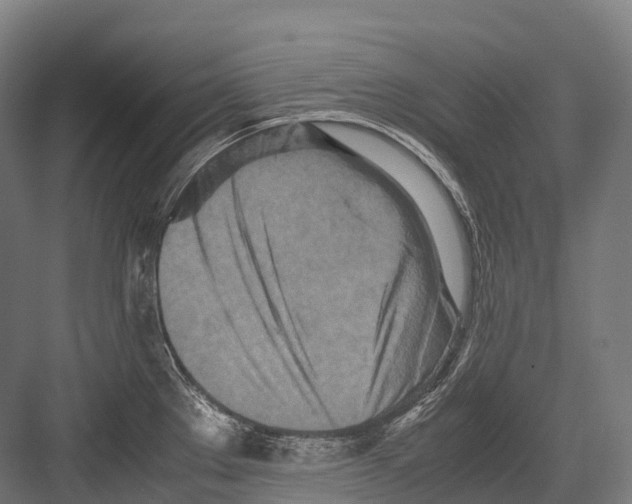 X0000081591289200702121504