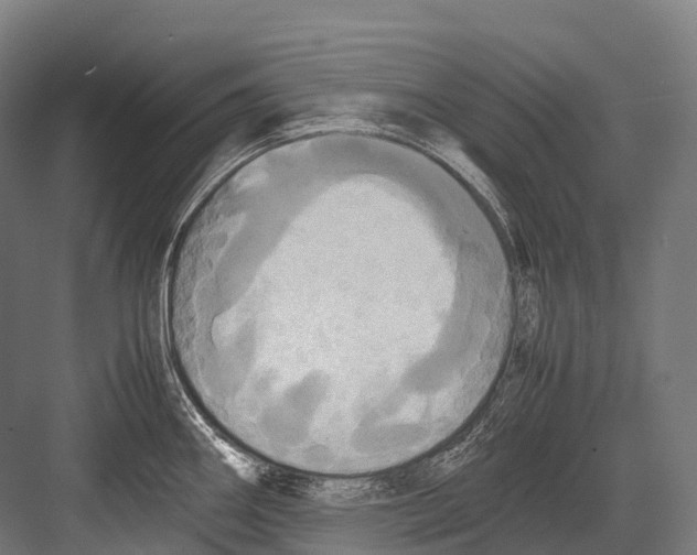 X0000081591290200702121504