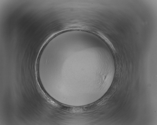 X0000081591291200702121504