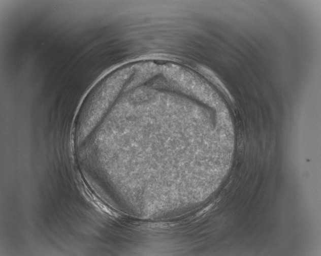 X0000081591292200702121504