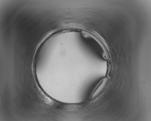 X0000081591293200702121504