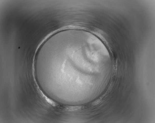 X0000081591294200702121504