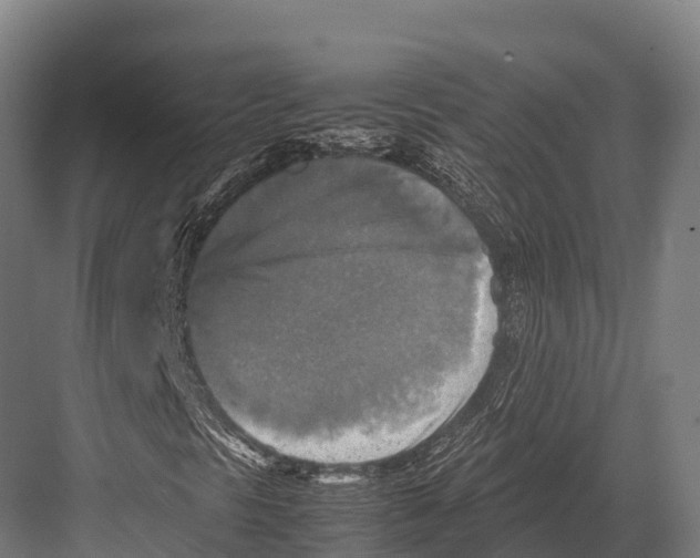 X0000081591297200702121503