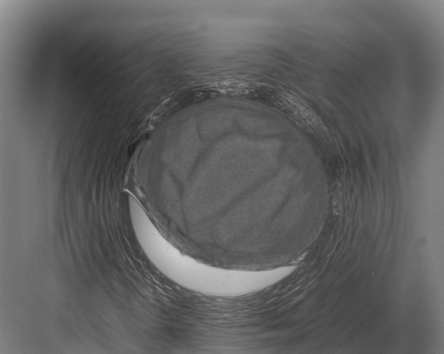 X0000081591298200702121503