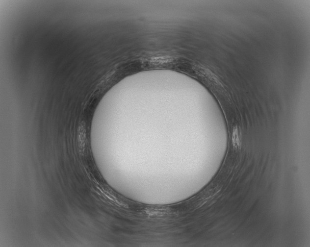 X0000081591299200702121503