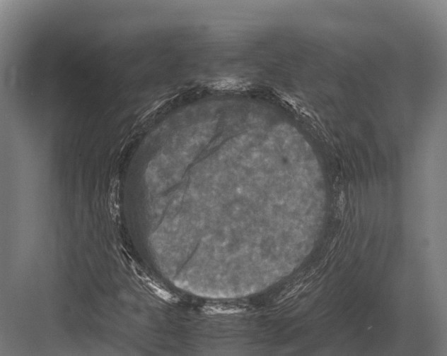 X0000081591301200702121503