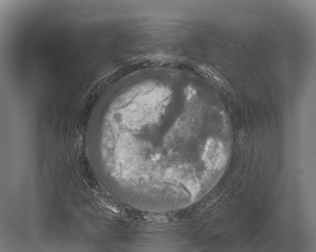 X0000081591302200702121503