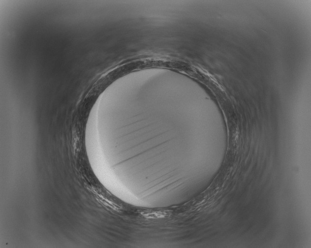 X0000081591303200702121503