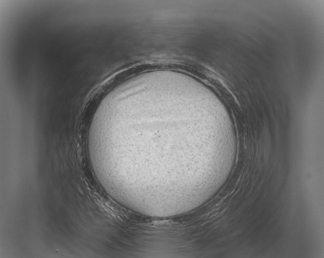 X0000081591304200702121503