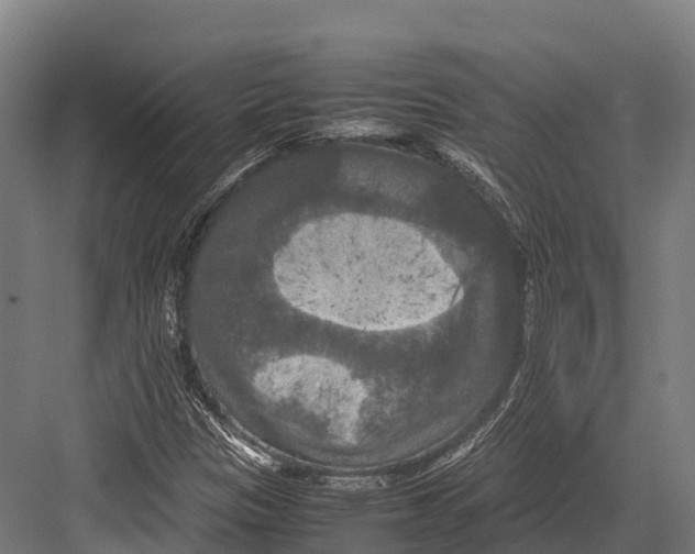 X0000081591305200702121503