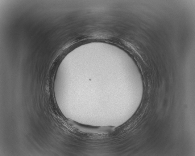 X0000081591307200702121503