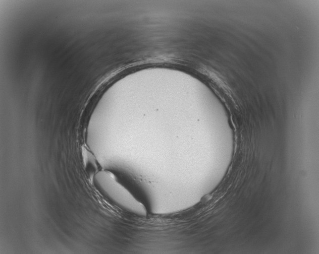 X0000081591308200702121503