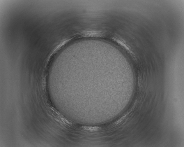 X0000081591309200702121503