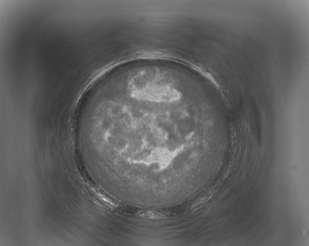 X0000081591311200702121503