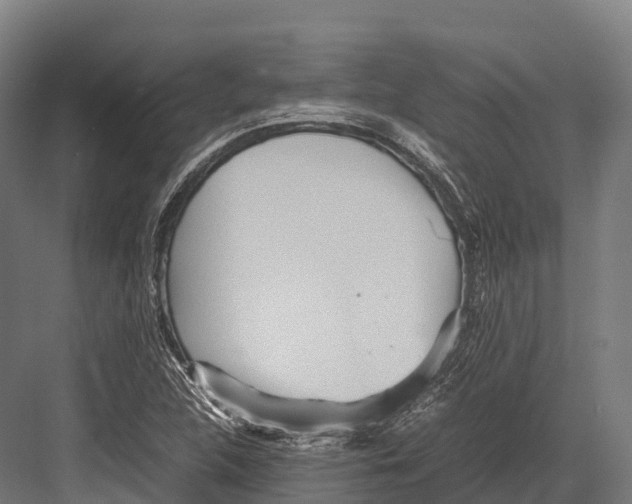 X0000081591312200702121503