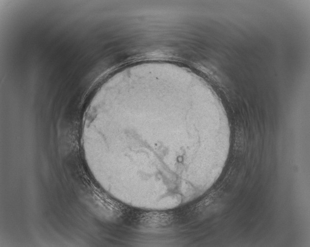 X0000081591314200702121503