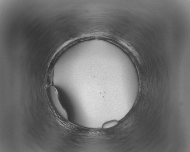 X0000081591316200702121503