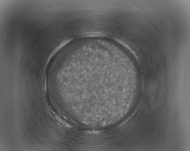 X0000081591317200702121503