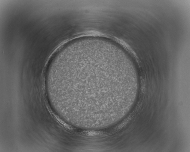 X0000081591318200702121503