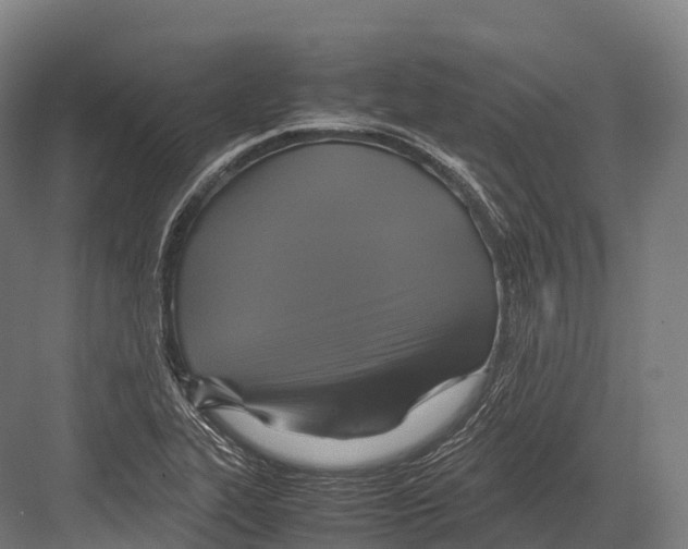 X0000081591319200702121503