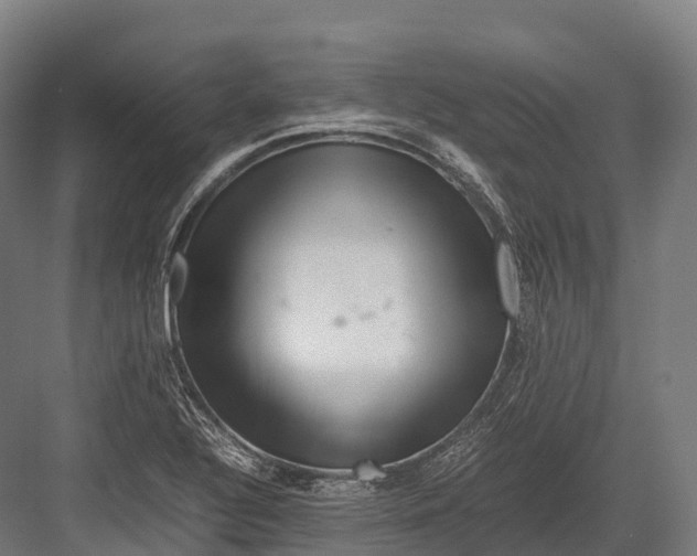 X0000081591320200702121503