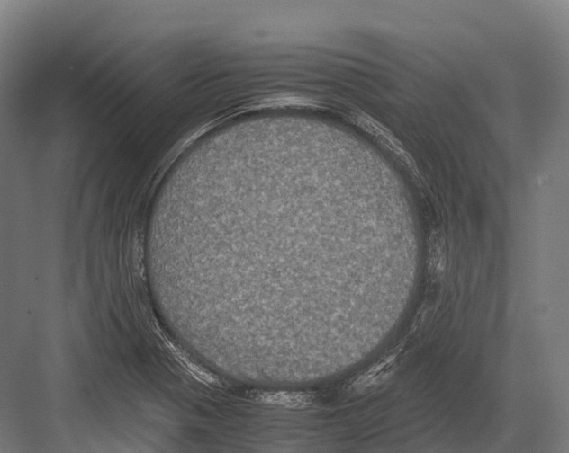 X0000081591321200702121503