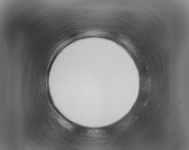 X0000081591322200702121503