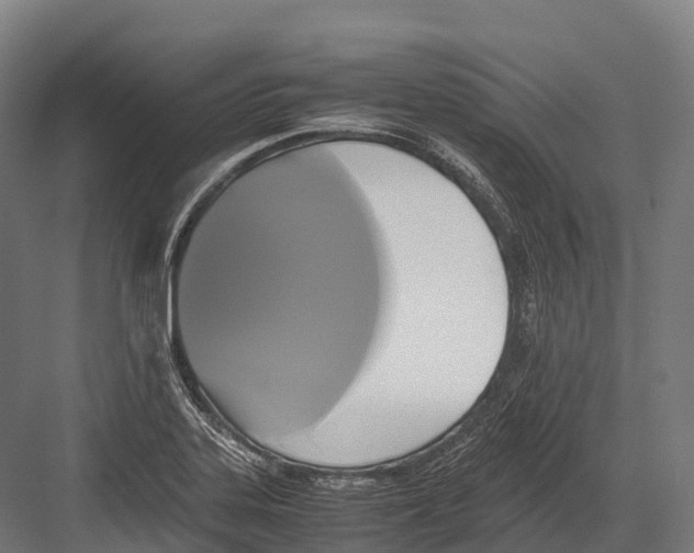 X0000081591323200702121504