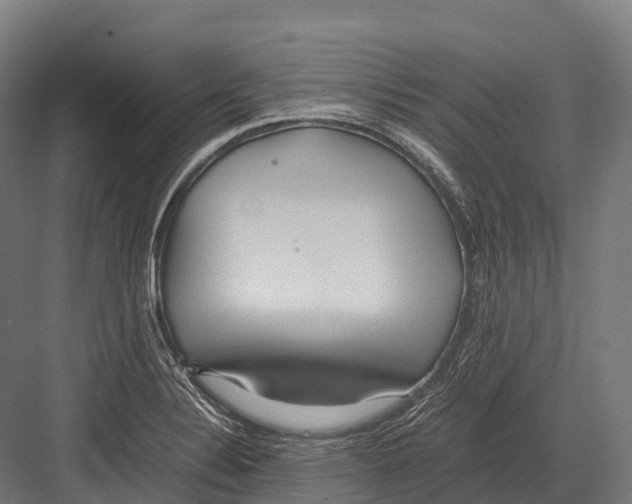 X0000081591324200702121504