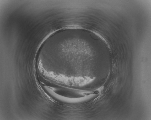 X0000081591325200702121504