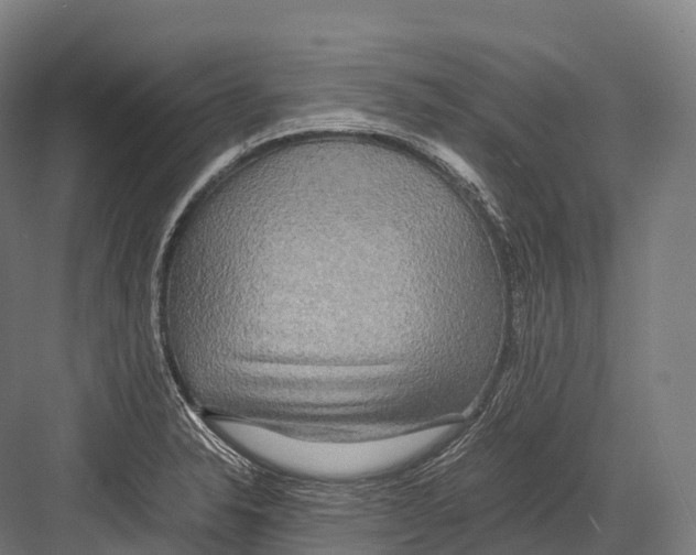 X0000081591326200702121504