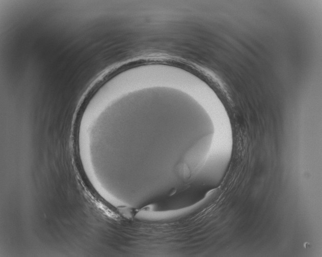 X0000081591327200702121504