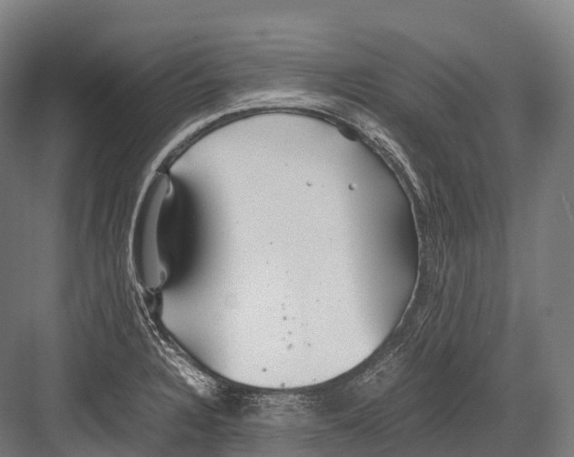 X0000081591328200702121504