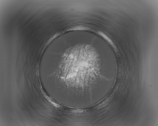 X0000081591329200702121504