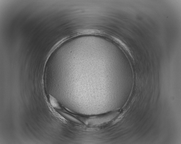 X0000081591330200702121504