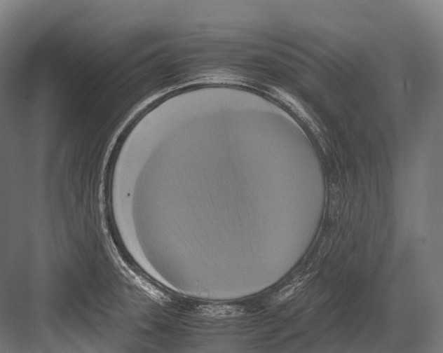 X0000081591331200702121504