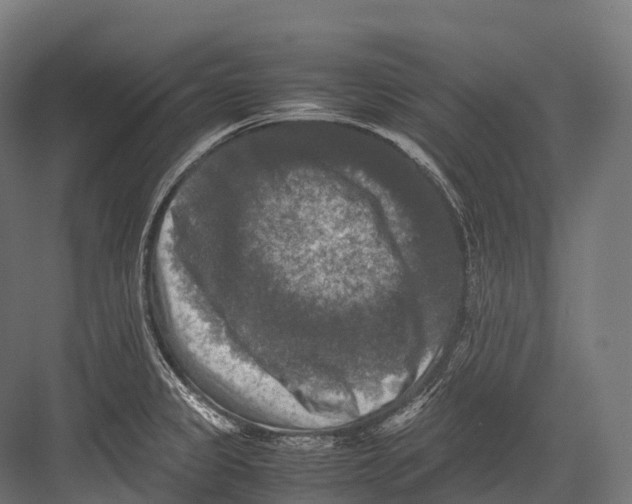 X0000081591333200702121504