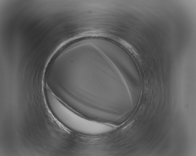 X0000081591334200702121504