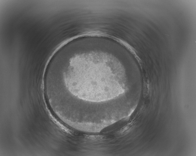 X0000081591335200702121504