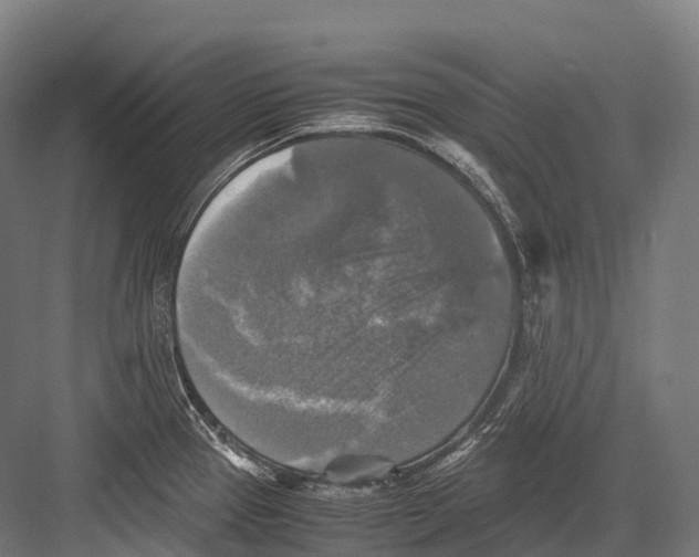 X0000081591337200702121504