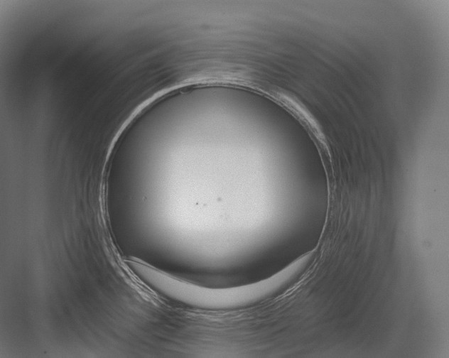 X0000081591340200702121504